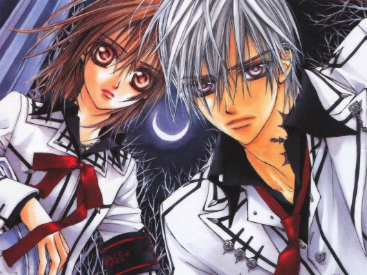 Vampire Knight
Vampire Knight