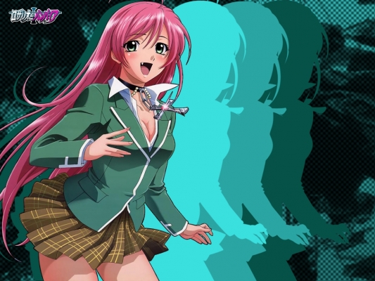 Rosario + Vampire
Rosario Vampire