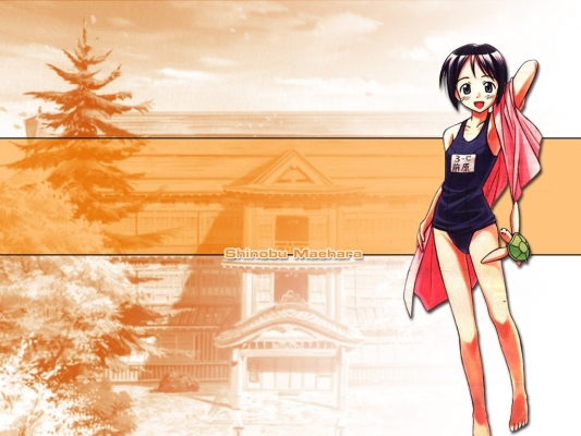 Love Hina
Love Hina