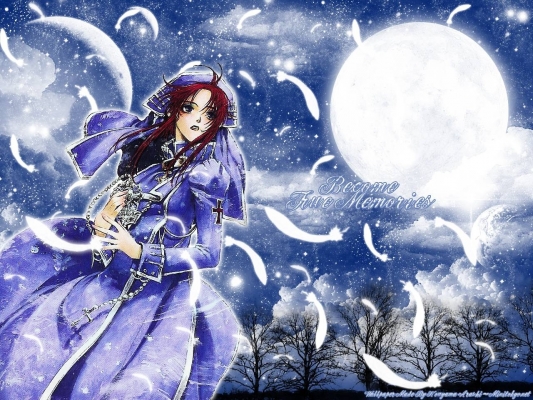 Trinity Blood
Trinity Blood