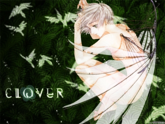 Clover
Clover