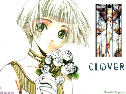 Clover
Clover