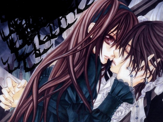 Vampire Knight
Vampire Knight