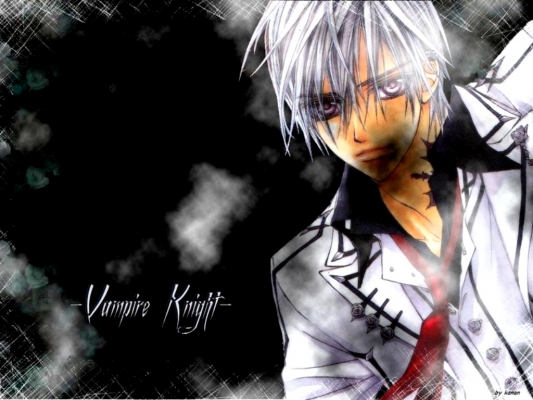 Vampire Knight
Vampire Knight