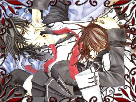 Vampire Knight
Vampire Knight