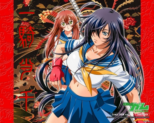 Ikki Tousen
Ikki Tousen