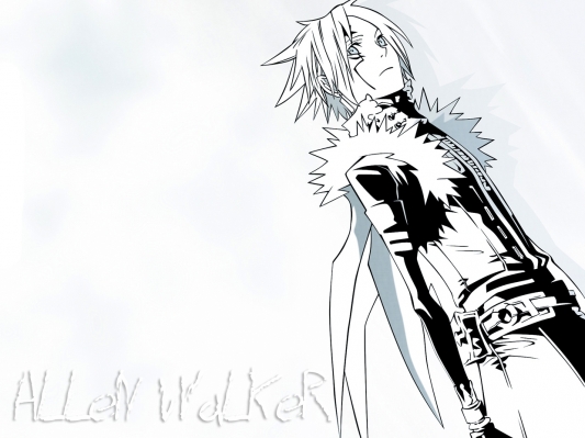 D.Gray man
D.Gray man