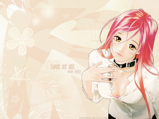 Rosario + Vampire
Rosario + Vampire