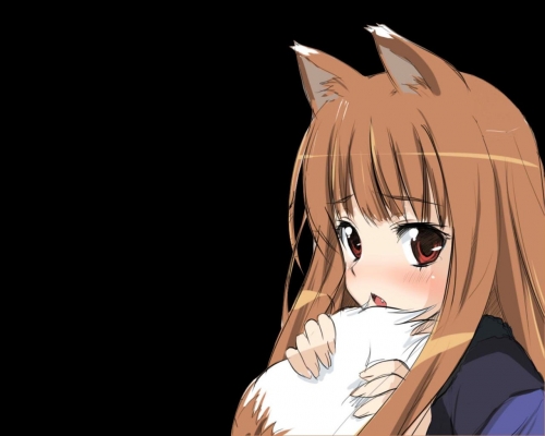 Spice & Wolf
Spice & Wolf