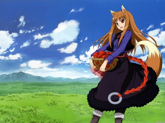 Spice & Wolf
Spice & Wolf