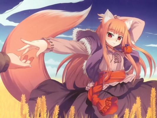 Spice & Wolf
Spice & Wolf