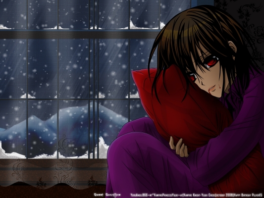 Vampire Knight
Vampire Knight