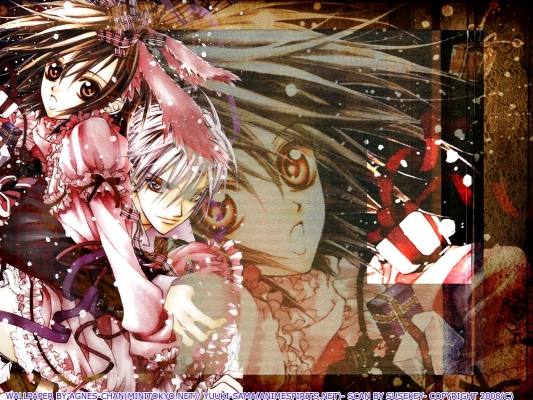 Vampire Knight
Vampire Knight