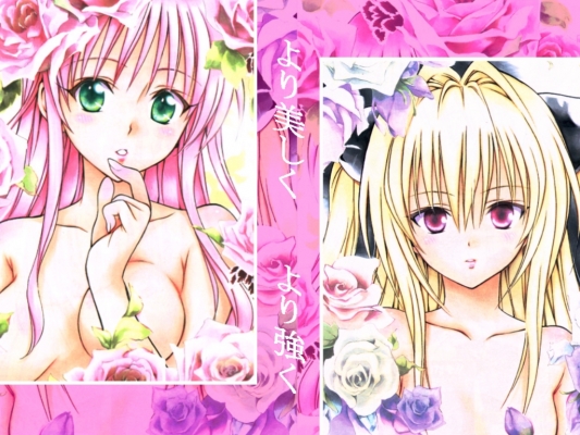 ToLoveRu
ToLoveRu