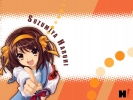 Haruhi
Haruhi Suzumiya Melancholy