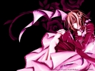 Vampire Knight
Vampire Knight