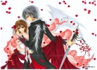 Vampire Knight
Vampire Knight