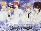 Vampire Knight
Vampire Knight