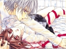 Vampire Knight
Vampire Knight