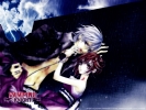 Vampire Knight
Vampire Knight