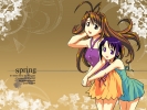 Love Hina
Love Hina