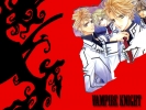 Vampire Knight
Vampire Knight