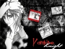 Vampire Knight
Vampire Knight