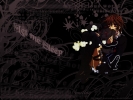 Vampire Knight
Vampire Knight