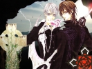 Vampire Knight
Vampire Knight