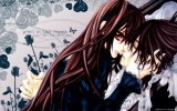 Vampire Knight
Vampire Knight