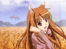 Spice & Wolf
Spice & Wolf