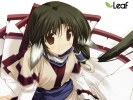 Utawareru Mono
Utawareru Mono