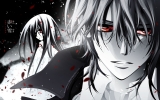 Vampire Knight
Vampire Knight