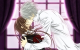 Vampire Knight
Vampire Knight