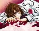 Vampire Knight
Vampire Knight