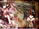 Vampire Knight
Vampire Knight