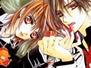 Vampire Knight
Vampire Knight