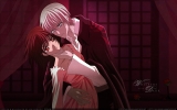 Vampire Knight
Vampire Knight