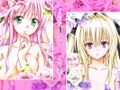 ToLoveRu
ToLoveRu