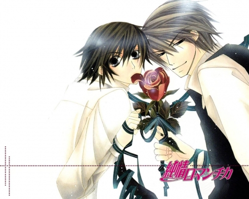 Junjou Romantica 003
Junjou romantica wallpaper