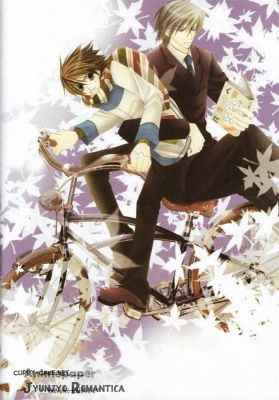     
junjou romantica  