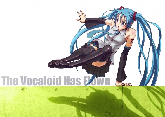 Hatsune Miku - Vocaloid
Vocaloid Hatsune Miku