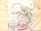 12
  chobits