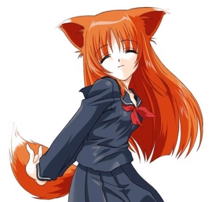 hp99
Neko