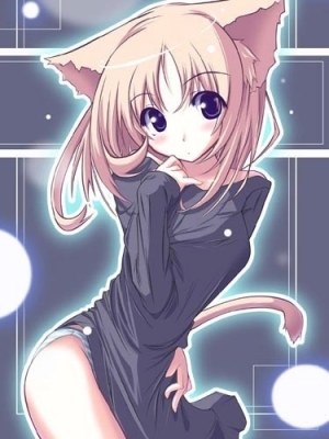 hp100
Neko