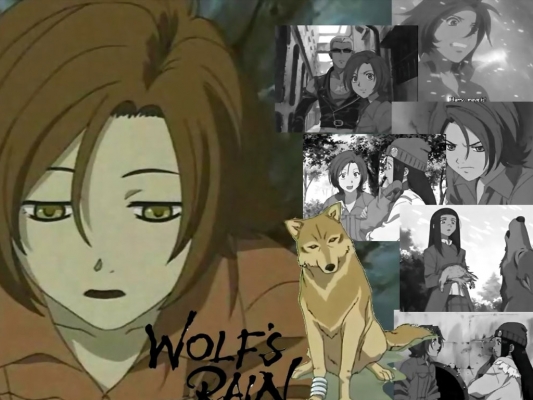 WF13
  Wolf's Rain