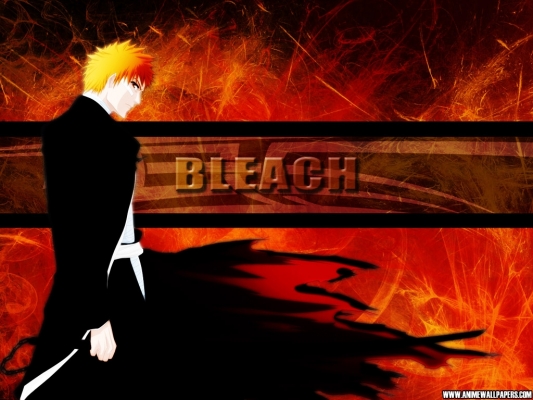 Bleach 33
  )))
Bleach  