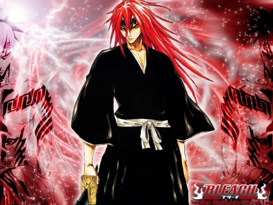 Bleach 5
  ^^
Bleach  